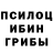 Галлюциногенные грибы MAGIC MUSHROOMS Mark Loveday