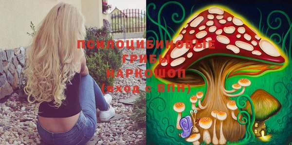 герыч Ладушкин