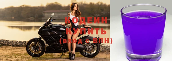 СК Зеленодольск