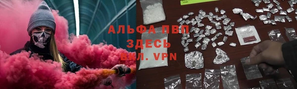 СК Зеленодольск