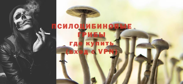 СК Зеленодольск