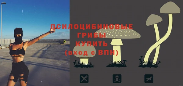 apvp Зеленокумск