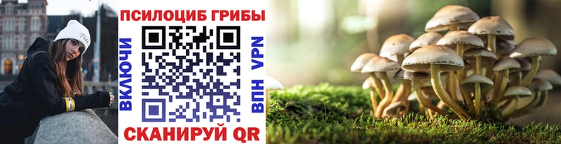 Галлюциногенные грибы мухоморы  MEGA ссылка  Кингисепп  продажа наркотиков 