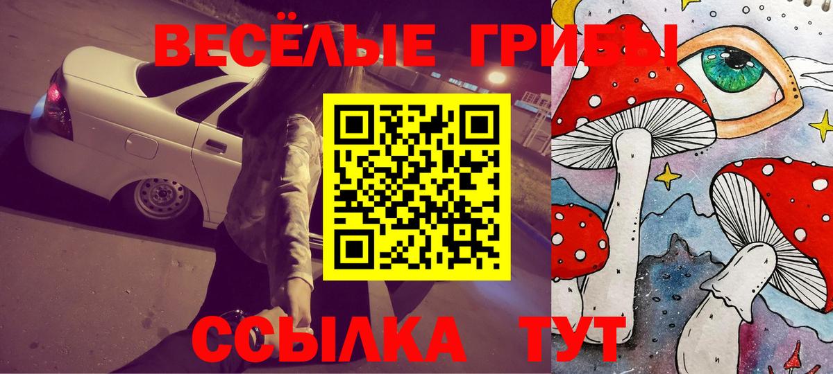 Галлюциногенные грибы Magic Shrooms Кингисепп