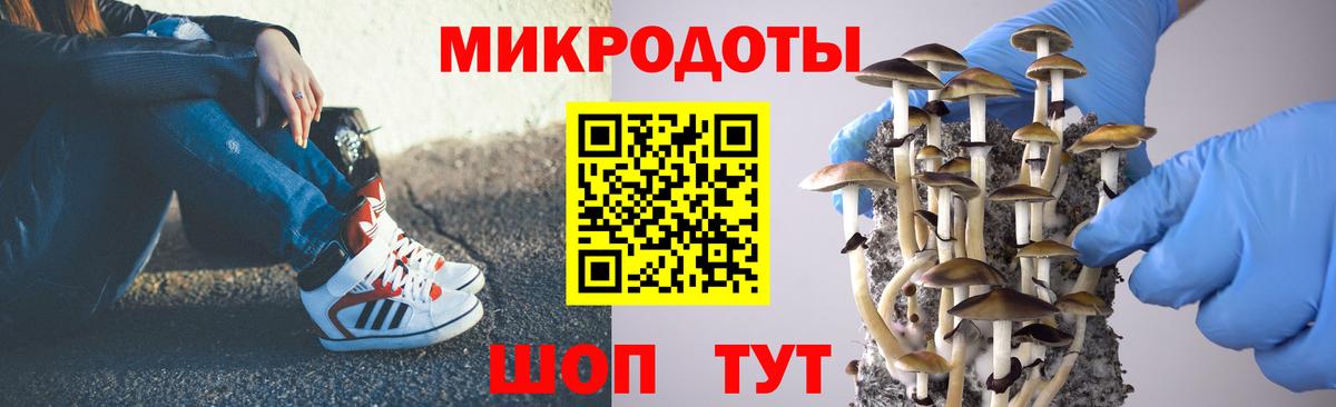 Псилоцибиновые грибы ЛСД  Вход с VPN  Галлюциногенные грибы GOLDEN TEACHER  Кингисепп 